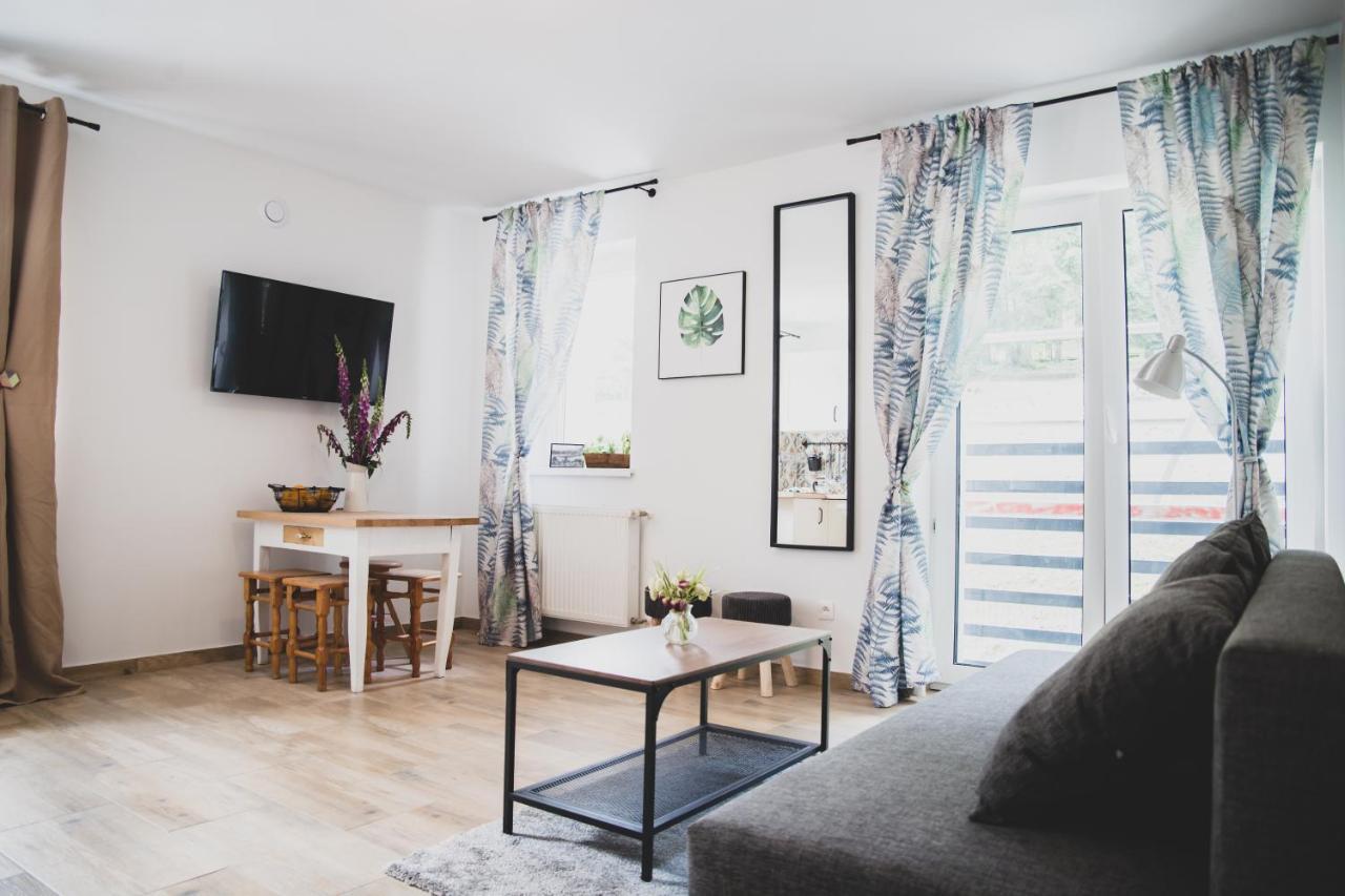 Na Stoku Apartment Swieradow-Zdroj Ngoại thất bức ảnh